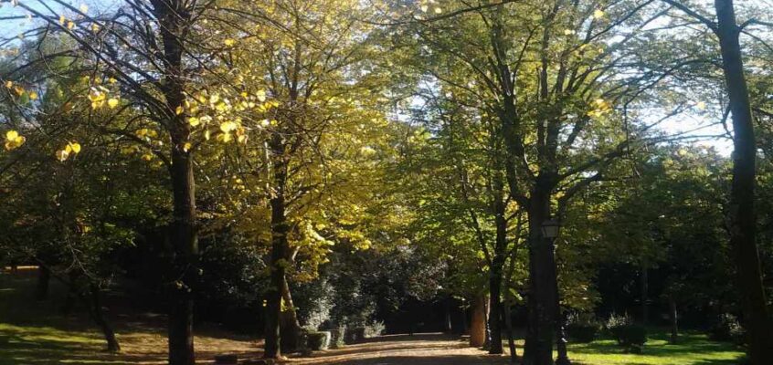 Il Parco di Villa Strozzi a Firenze