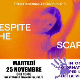 banner_Despite-the-scars_846-400