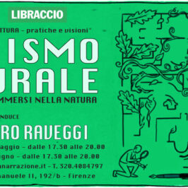 Banner Alessandro Raveggi realismo Naturale al MUNAR